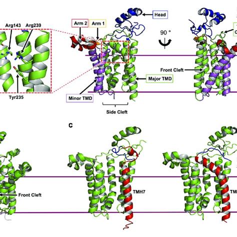 Alphafold And Colabfold Structure Predictions Of The Lnsab Complex Download Scientific