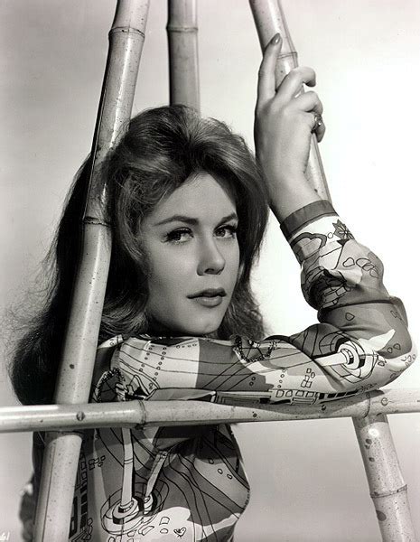 Elizabeth Portrait Elizabeth Montgomery Photo 2917376 Fanpop