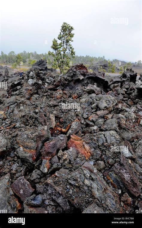 Lava Rock Chain Of Craters Road Hawaii Volcanoes National Park Pacific