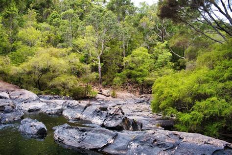 Cataract Gorge Stock Photos Royalty Free Cataract Gorge Images