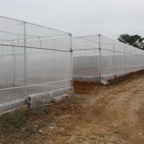 China Extra Plastic Fine Mesh Garden Netting manufacturers and suppliers | Fuhai