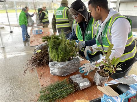 2023 Sale Puts Almost 68 000 Native Plants Into Our Community King