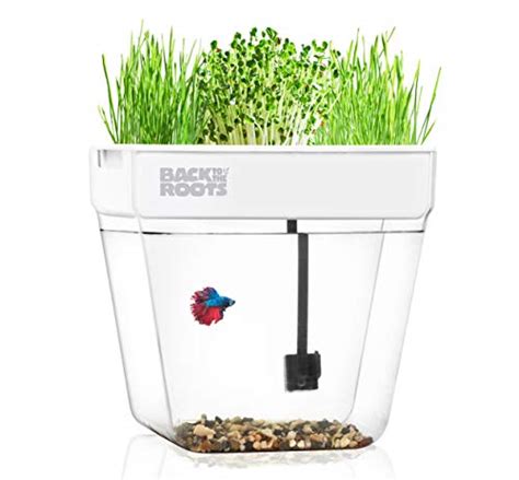 Top 5 Best Aquaponics Kits - Reviews & Guide 2024 - AquaponicsDIYer