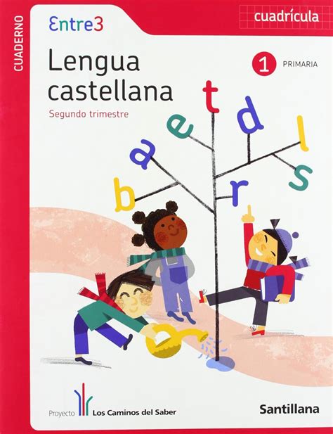 Amazon Globalizado Entre Cuaderno Lengua Cuadricula Primaria