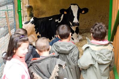 Ampa Zuloaga Visita A La Granja Escuela