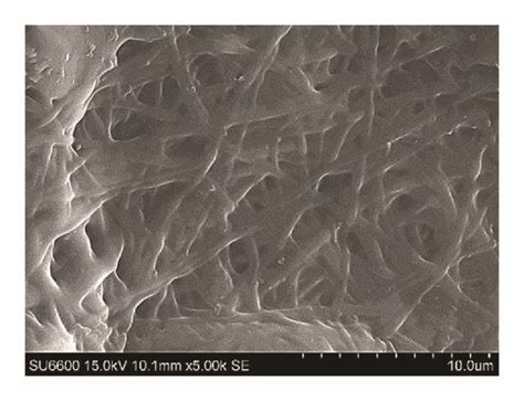 Morphology Of Electrospun Alginate Based Scaffolds A B Show SEM