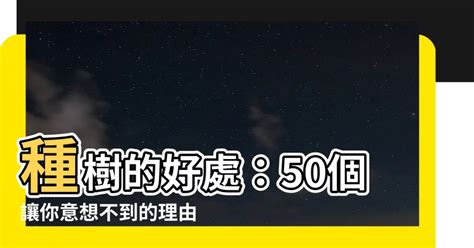 【種樹的好處】種樹的好處：50個讓你意想不到的理由 Npf 風水知識網