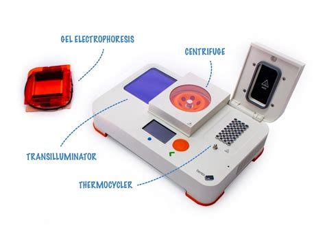 Teaching Pcr In A Classroom What Do I Need Bento Lab