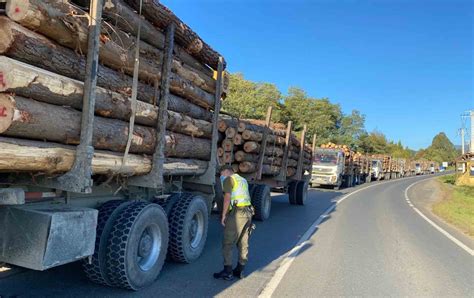 Ley De Robo De Madera 11 Detenidos En Arauco Casi La Mitad En Prisión