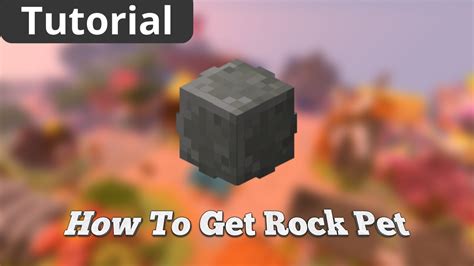 How To Get Rock Pet In Hypixel Skyblock Youtube