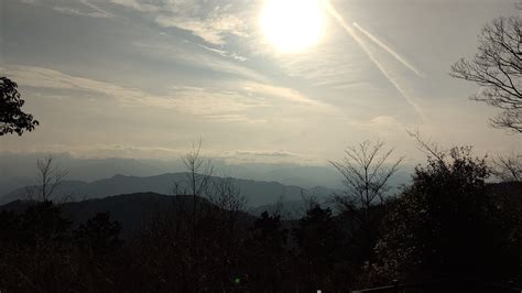 ジャッジメントですの！ In 高尾山 ぽいっさんの高尾山・陣馬山・景信山の活動日記 Yamap ヤマップ