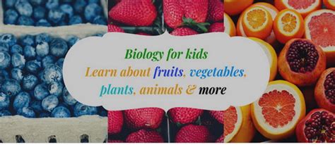 Biology For Children, Worksheets, Games, Quizzes, Lessons