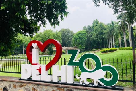 Delhi Zoo to reopen from Aug 1 in two shifts; tickets can be booked online