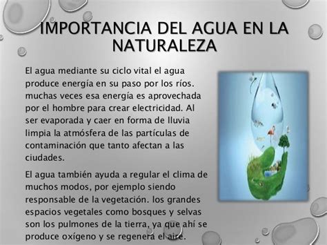 Importancia Del Agua