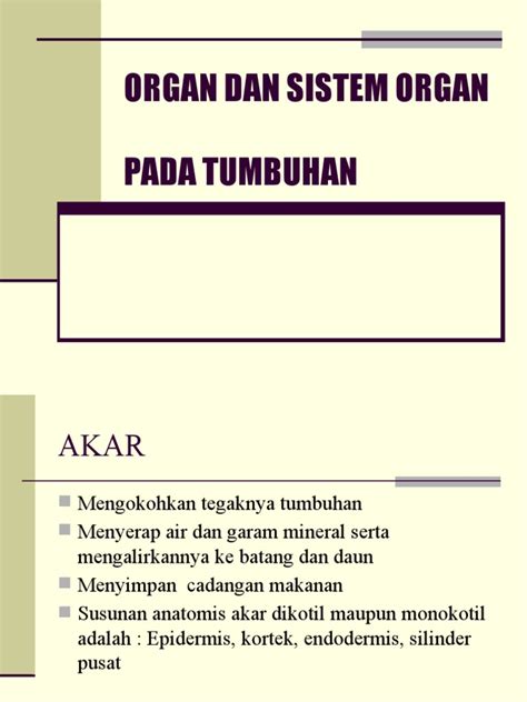 Organ Dan Sistem Organ Pada Tumbuhan Pdf