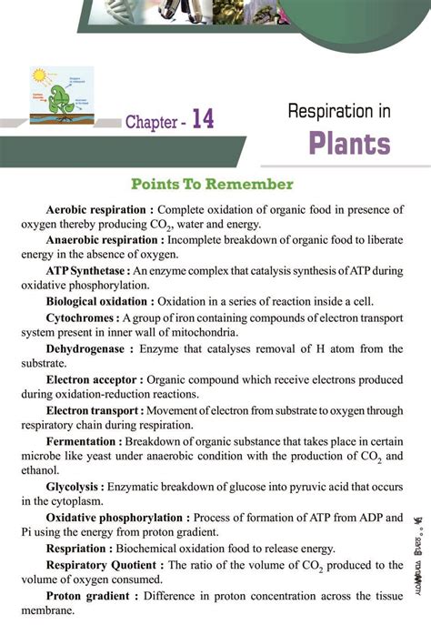 Respiration In Plants Notes For Class Biology Pdf Oneedu