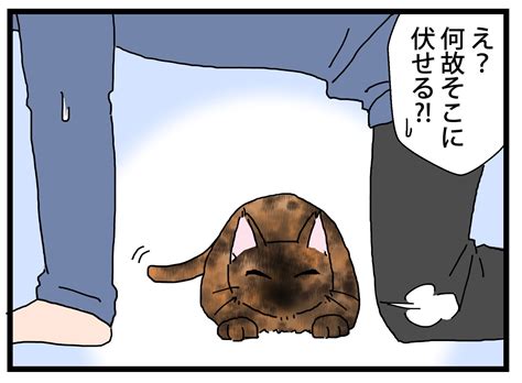 よき挟まり加減① 保護猫かやさん～凛々しいサビ猫様と私～