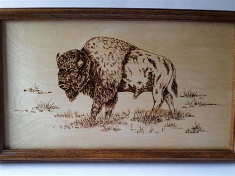 A Drawing Of A Bison In A Wooden Frame