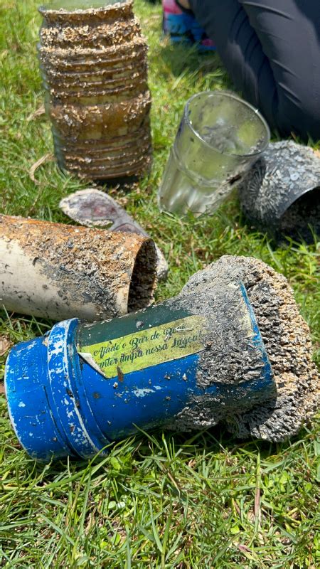 Floripa Sustentável Limpeza dos Mares recolhe mais de 3 toneladas de