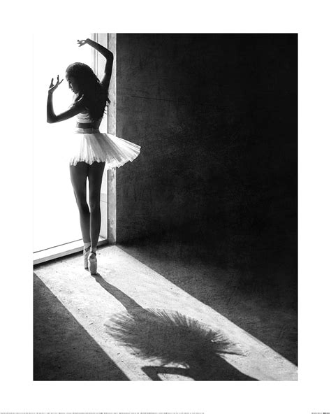 Shadow Dance Canvas Print | The Art Group