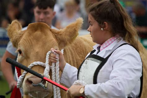 15 Best Things to Do in Tullamore (Ireland) - The Crazy Tourist