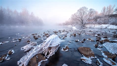 Northeast China Winter Forest 2020 Scenery 4K Photography Preview ...