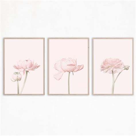 Blush Pink Wall Art Etsy