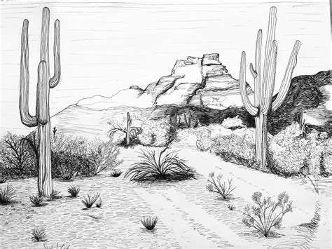 Desert landscape in pen & ink : drawing