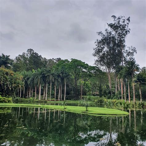 Inhotim O Maior Museu A C U Aberto No Mundo Biologia Da Paisagem