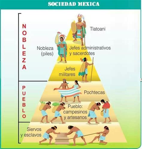 Sociedad Mexica Organización social Enseñanza de la historia