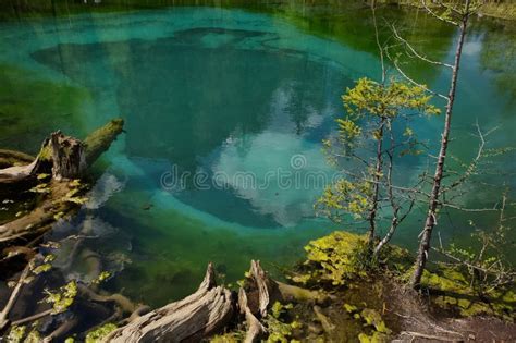Geyser Lake Near Aktash Village in Altai. Stock Photo - Image of stream ...
