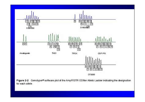 Pcr Y Electroforesis Biociencias 2010 Pdf