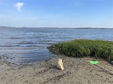 How To Go Clamming In Delaware Spots Technique And Rules Crabbing Hub