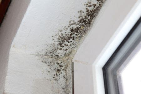 remove black mold  windows doityourselfcom