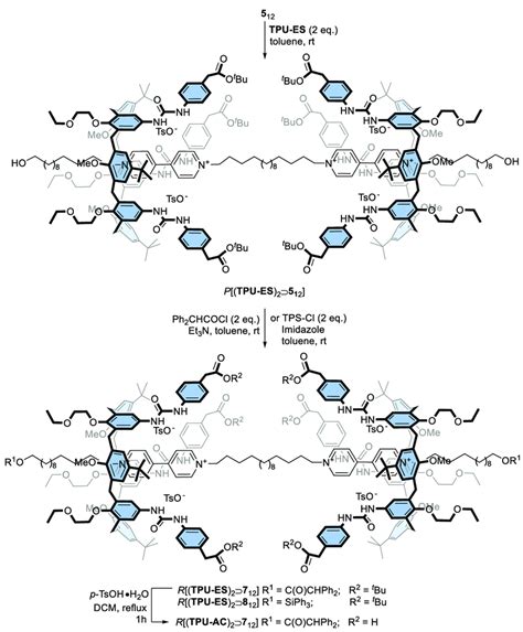 Scheme 3 Synthesis Of Calix 6 Arene Based 3 Rotaxanes With