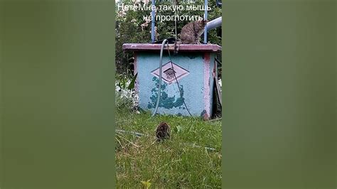 самоутешение - YouTube