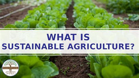 Sustainable Farming Explainer Video Sustainable Agriculture Youtube