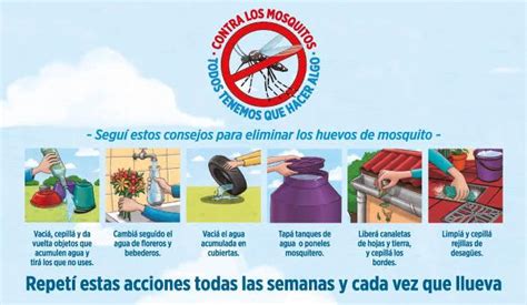 Temporada De Mosquitos Revista Cabal