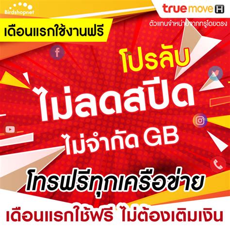 ใช้ฟรีเดือนแรก ซิมเทพทรู True เน็ตไม่ลดสปีด 4 30 Mbps โทรฟรีทุก