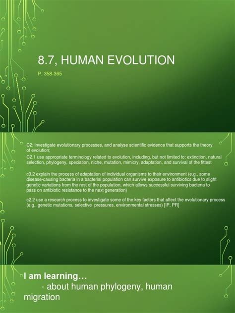 Human Evolution | PDF