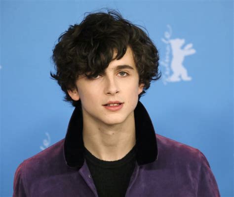 Timothée Chalamets Top Hairstyles Your Ultimate Guide