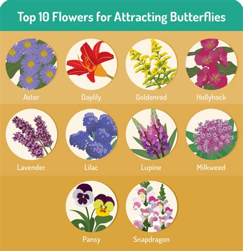 Top 10 Flowers That Attract Butterflies—and More Ways To Bring Them To Your Yard Year Round