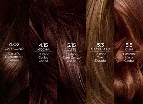 excellence cafes parisinos de loreal paris loreal paris tinte