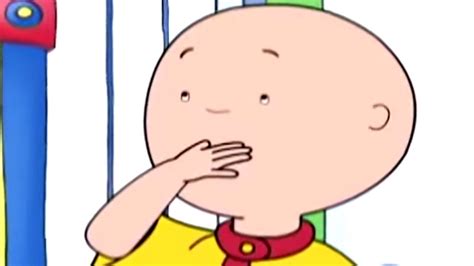 Caillou Oublieux Caillou En Français Youtube