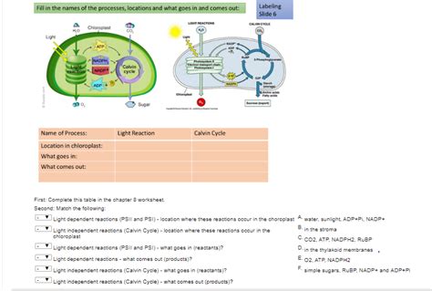 Solved Fill In The Names Of The Processes Locations And Chegg