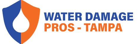 24/7 Water Damage Restoration Tampa FL | The Water Damage Pros