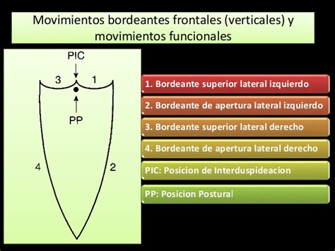 Diagrama De Posselt Descarga Ayuda