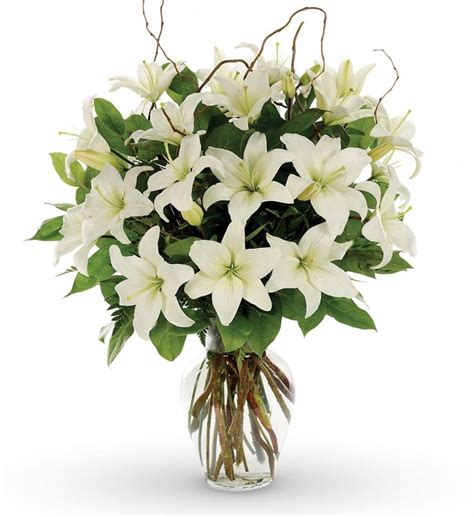 White Lilies Sympathy Flowers Sympathy Bouquets Love Lily