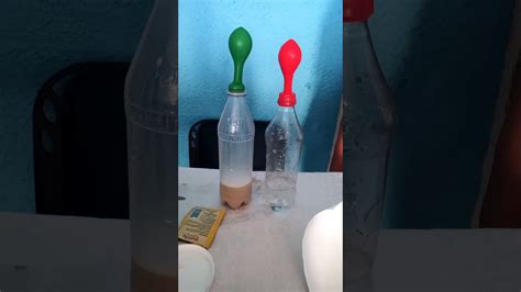 Experiment Casero Sobre El Metabolismo Fermentaci N Alcoh Lica