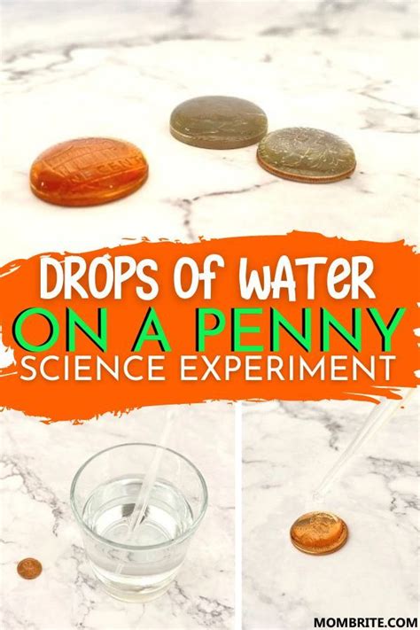 Drops Of Water On A Penny Science Experiment Science Experiments For